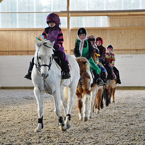 A professional rider on a horse